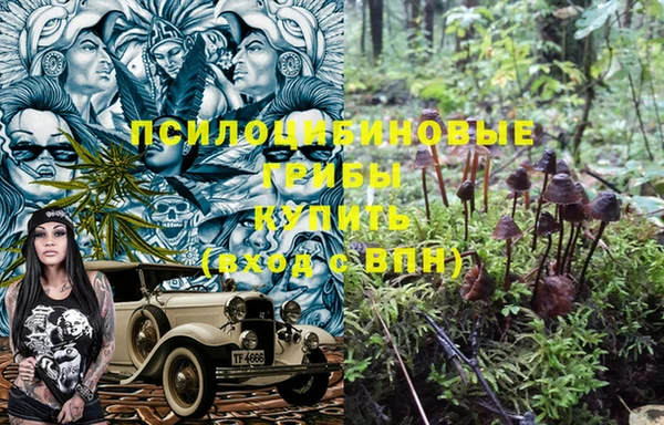 альфа пвп Бугульма