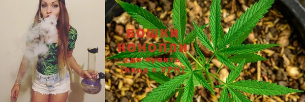 дмт Бронницы